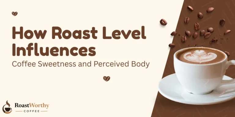 How Roast Level Influences Coffee Sweetness and Perceived Body