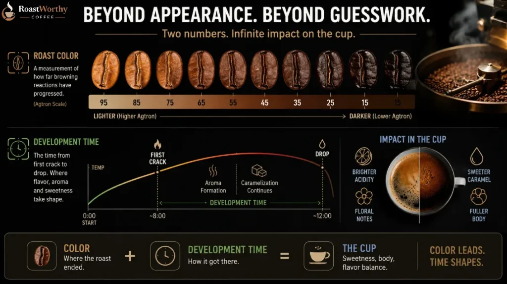 Understanding Roast Development