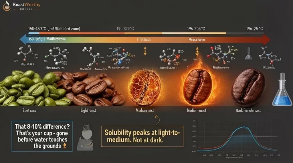 What the Heat Is Actually Doing to Each Coffee Roast