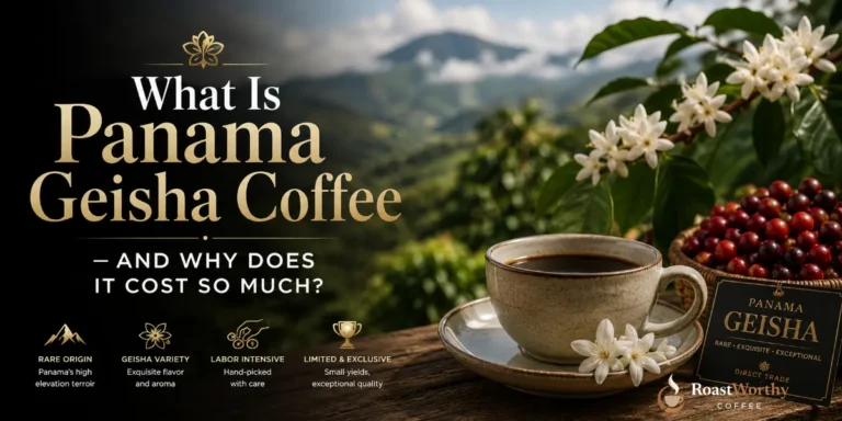 What Is Panama Geisha Coffee