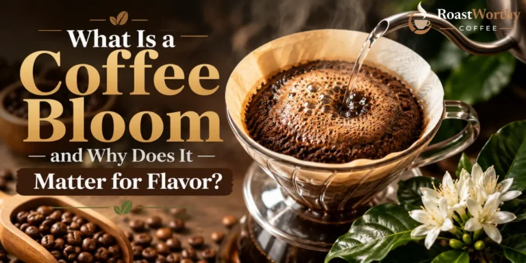 What Is a Coffee Bloom