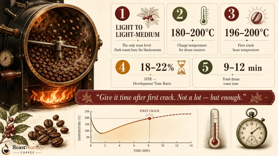 Kenyan Coffee Roasting Temperature Guide