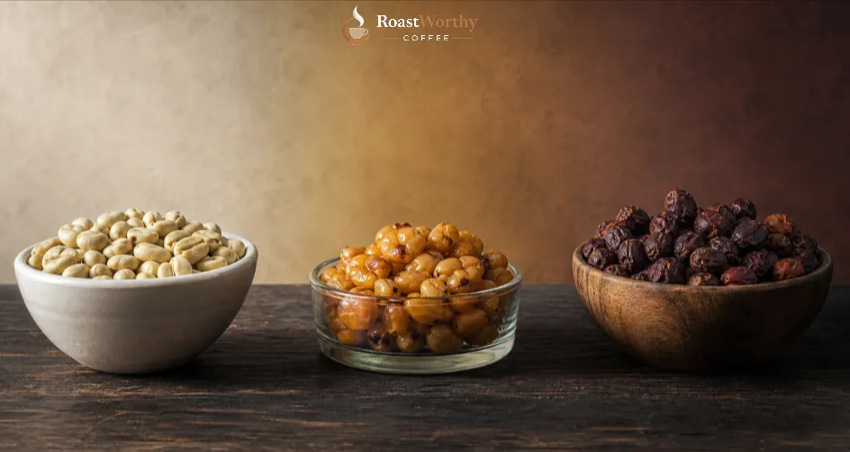 Washed Honey and Natural Coffee Compared
