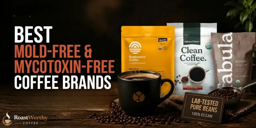 Best Mold-Free & Mycotoxin-Free Coffee Brands
