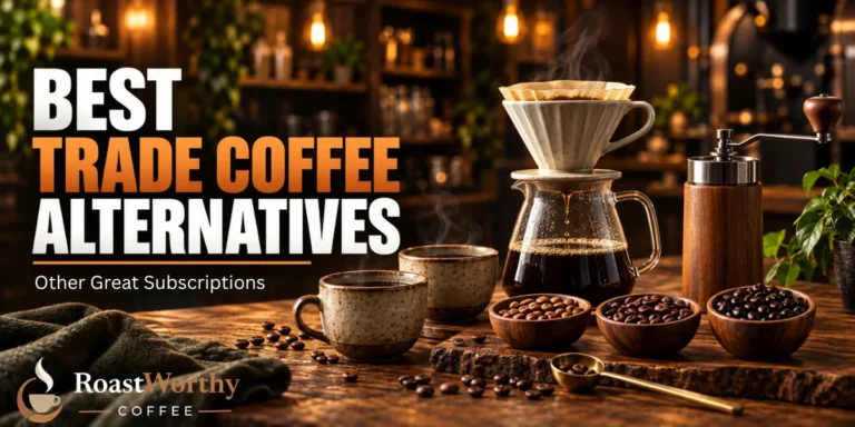 Best Trade Coffee Alternatives in Other Great Subscriptions