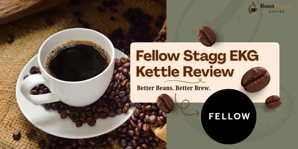 Fellow Stagg EKG Kettle Review